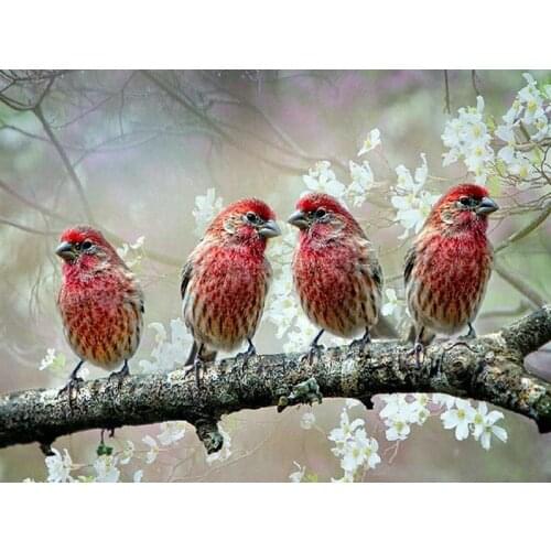 DIY 3D diamond painting animals Four birds diamond embroidery pictures of rhinestones hobbies crafts Needlework diamond mosaic