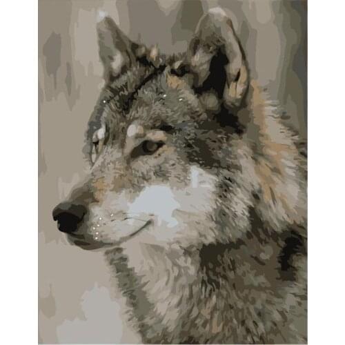 Wolf Paintings Wall Decor With Frame Paint By Numbers For Adults On Canvas Oil Picture DIY Kits Color Drawing Chamber Decor