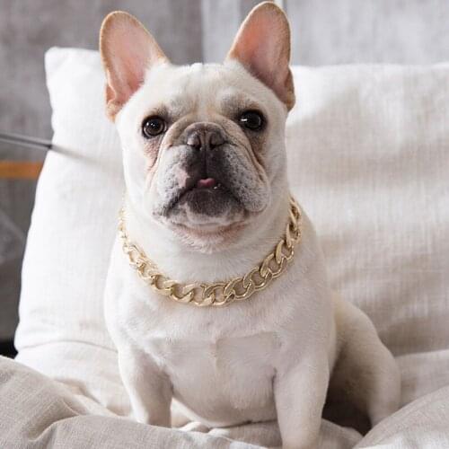 Fashion Pet Dog Collars Luxury Gold Bling Bling Puppy Dog Cat Necklace Plastic Collar Accessories Pet Products