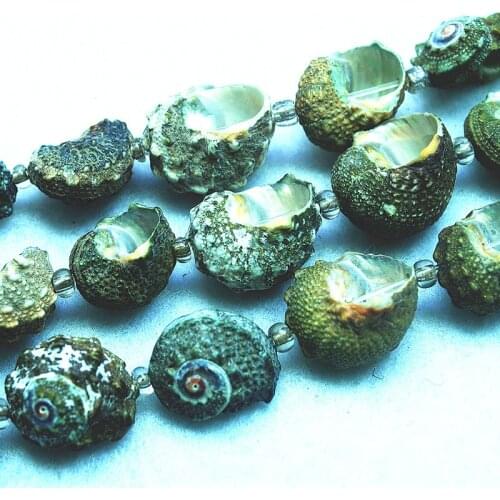10pcs nature shell beads from orignal seawater loose mother of pearl matching beads size 15-20mm bracelets making jewelry finds
