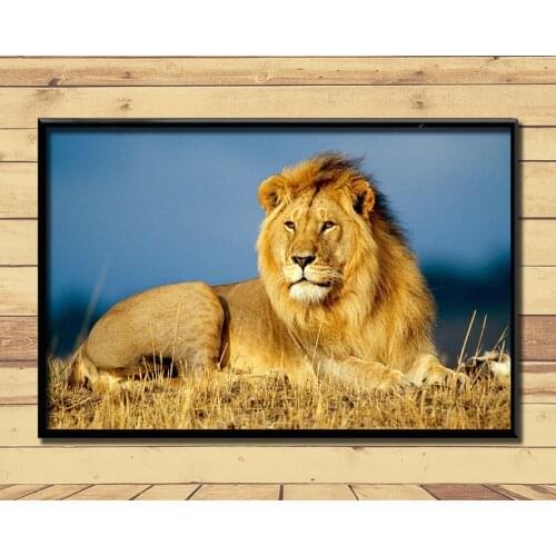 Lion King Of Animal Ferocious (28) Wall Posters Prints Silk Art Painting For Home Wall Bedroom Decor