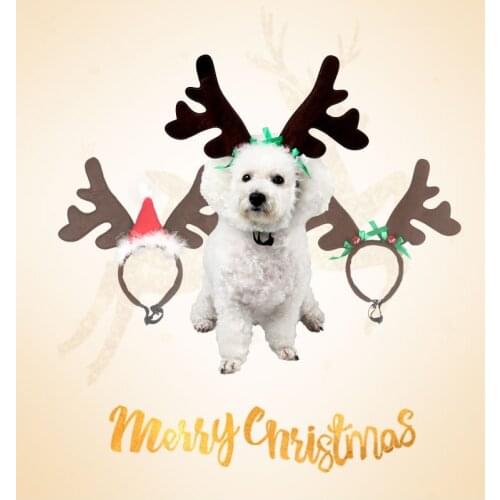 BANGSHE Clothes And Footwear For Dogs