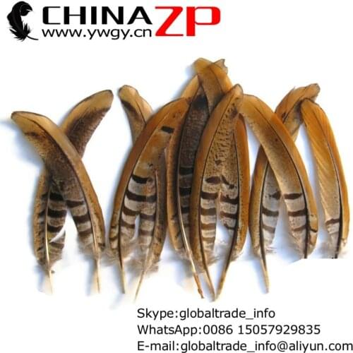 Exporting from CHINAZP Factory 50pcs/lot 15-20cm Length Unique Natural Reeves Venery Pheasant Tail Feathers