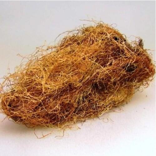 Corn silk - Stigmata maydis 50 gr-400 gr Free Shipping