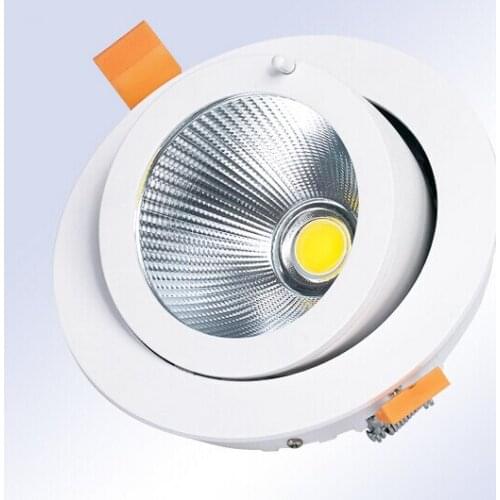 Free Shipping 15W/20W/30W LED Trunk Downlight AC85-265V Adjustable recessed Super Bright Indoor Light cob led downlight