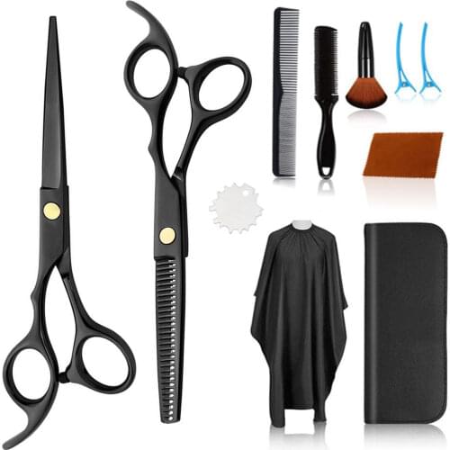 10PCS Hair Cutting Scissors Shears Kit with Thinning Cutting Scissors Cleaning Cloth Clips Regulator Combs Cape PU Bag Brush