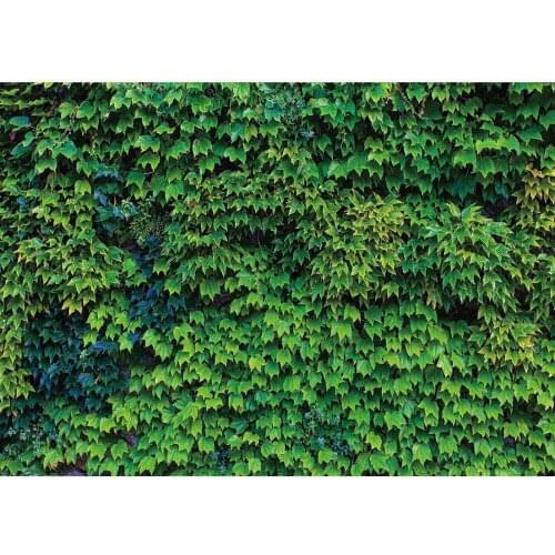 Green Leaves Wall Photography Backdrop Custom Backgrounds Photo Studio for Children Baby Portrait Birthday Party Photocall