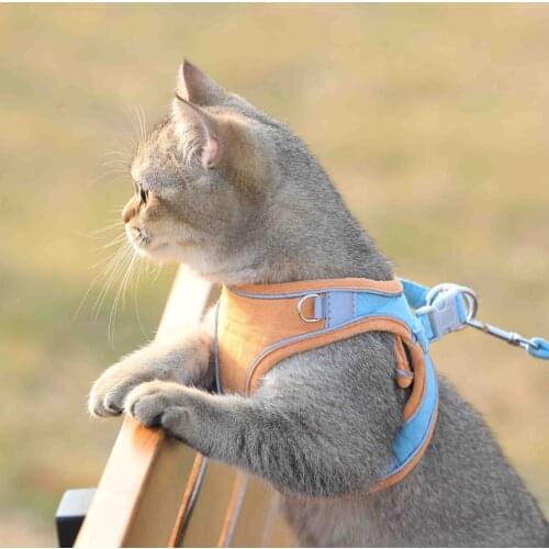 Cat Traction Rope Household Vest Chest Strap Cute Anti-Break Cat Walking Rope Dog Cat Walking Chain Pet