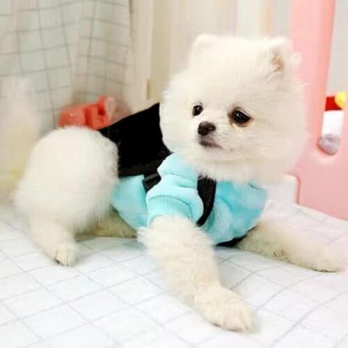 New Style Adjustable Dog Fabric Backpack Pet Harness Bag Bags For Small Medium Dogs Schnauzer French Bulldog Pug Corgi ZLB10