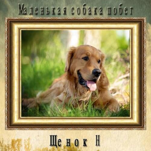 Diamond Painting Diamond Embroidery Square Diamond Mosaic Pasted Cross Stitch Lovely Dog Series Needlework Cute Little Of DogH