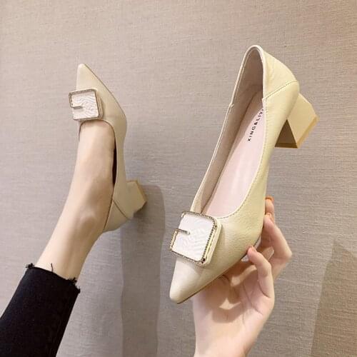 2021 spring and autumn new ladies fashion shallow mouth high heels pointed toe mid-heel all-match single shoes