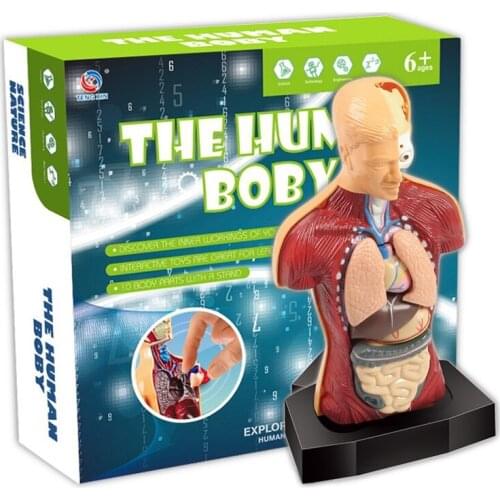 Feooe Action Figures