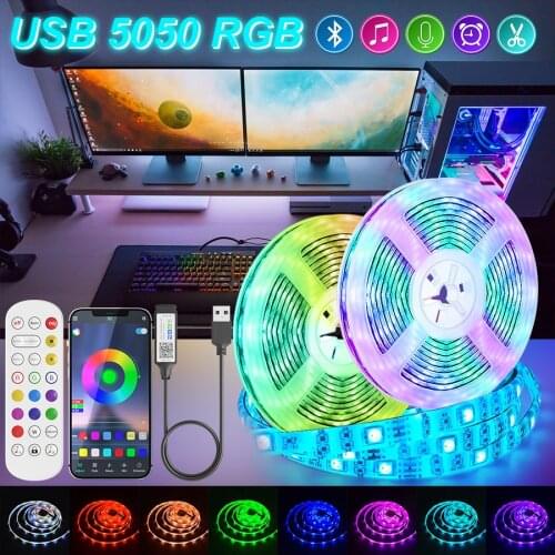 Bluetooth USB Led Strips Lights 5050 RGB 1M-30M Flexible Ribbon LED Lamp Tape Led Lights For Room TV Led BackLight Luces Led