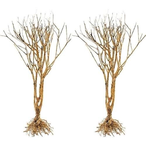 2PCS Fish Tanks Snakes Terrarium Environments Small Aquarium Driftwood Turtles Reptiles Arid Use Underwater Landscaping