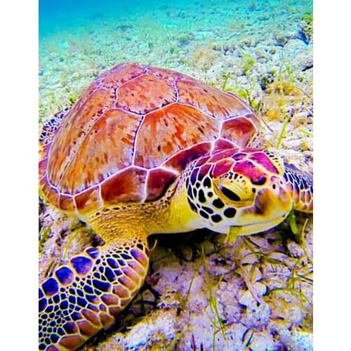DIY 40X50 Oil Painting By Numbers Sea turtle Paint by numbers On Canvas Home Decor Digital Painting chrismas gift