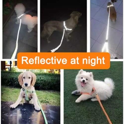 Reflective Cat Dog Harness Leash Set Braided Traction Round Rope Large Medium Small Dog Chain Night Out Luminous Harness For Dog