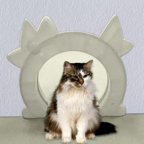 Cat Puppy Door Kitty Pass Interior Cat Door Pet Door for Cats Pets Free Enter And Exit Door