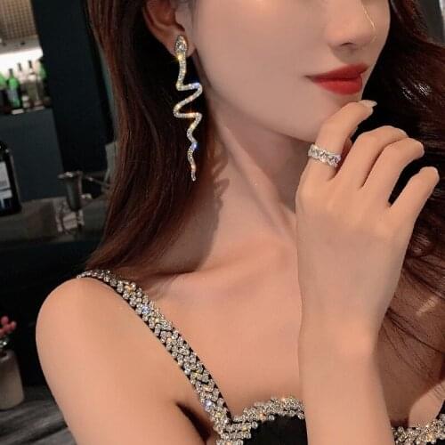 New Fashion Jewelry Earrings Punk Style Snake Pattern Crystal Earrings Long Tassel Earrings For Women Oorbellen Gifts For Women