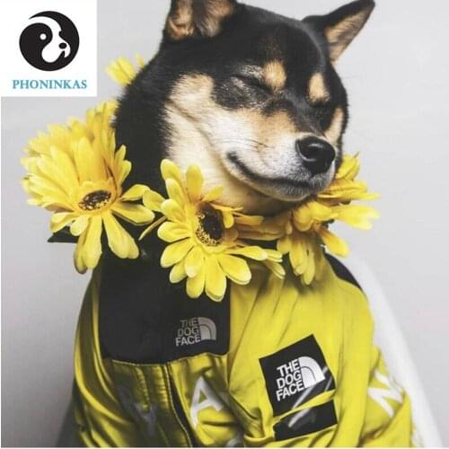 Dog Clothes Adidog French Bulldog Pupreme Shirt Dog Windbreaker Sport Retro Dog Hoodies Pet Clothes Ropa Perro Puppy Dog Pugs