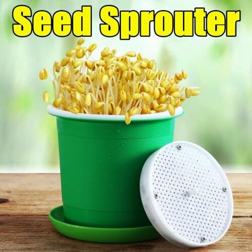 Germinating pot for home grown bean sprout pot bean sprout dish