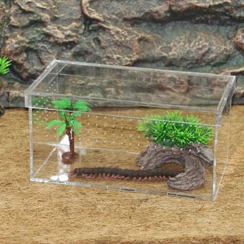 Reptile & Amphibian Terrarium Box For Snakes Lizards Turtles Spiders
