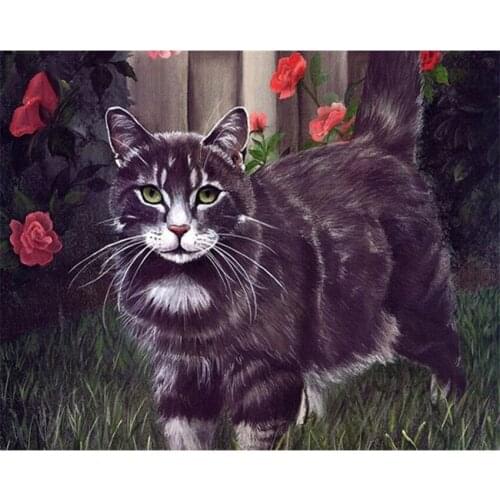 DIY Digital Painting By Numbers Package Red flower black cat oil painting mural Kits Coloring Wall Art Picture Gift frameless