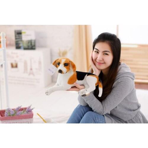 Cute plush real life beagle toy small stuffed beagle doll gift about 35cm xf2966