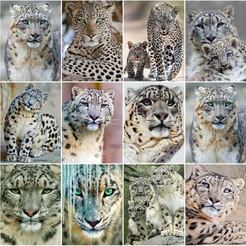 MomoArt Diamond Mosaic Animal Cross Stitch Kits Diamond Painting Leopard Full Drill Square Embroidery New Arrival Handmade Hobby