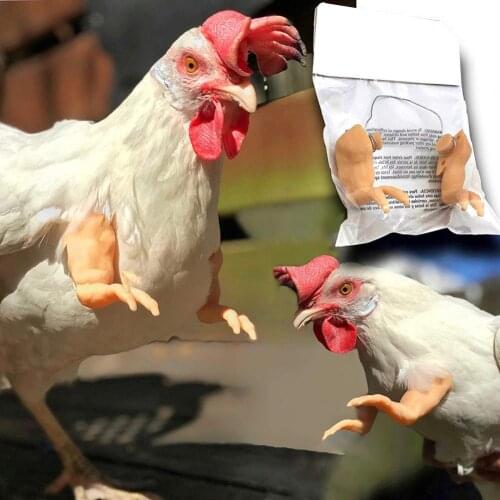 1 Set Chicken Costume Fun Two Hands Design Halloween Special Pet Spoof Prop for Entertainment Chicken forelimb decoration spoof