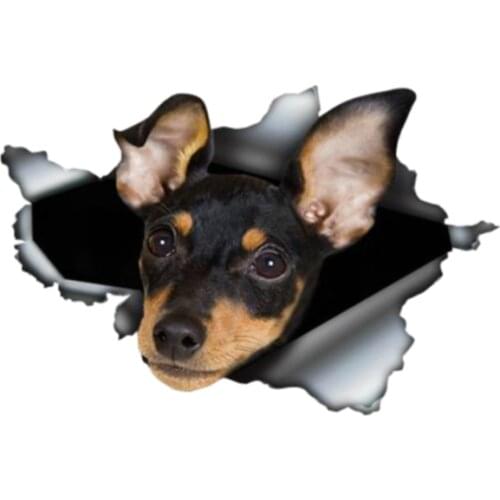 DasDecal Miniature Pinscher Torn Metal Car Sticker Waterproof Pet Decal Laptop Suitcase Motorcycle Auto Accessories PVC,13cm*8cm