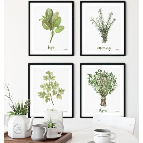 Herb Collection Wall Art Canvas Posters Painting Sage Thyme Rosemary Parsley Plantsl Watercolor Wall Picture Print Kitchen Decor