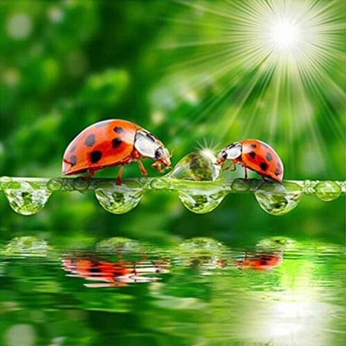 5D DIY Diamond Painting Seven-star ladybug Diamond Embroidery Full Cross Stitch Rhinestone Mosaic Home Decor Handmade Gift