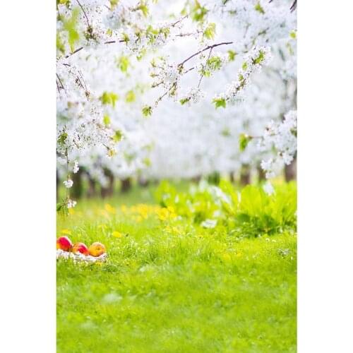 Vinyl Cloth Photography Backdrops Spring Scenery Backgrounds for Photo Studio Children Baby Shower New Born Baby Portrait Custom
