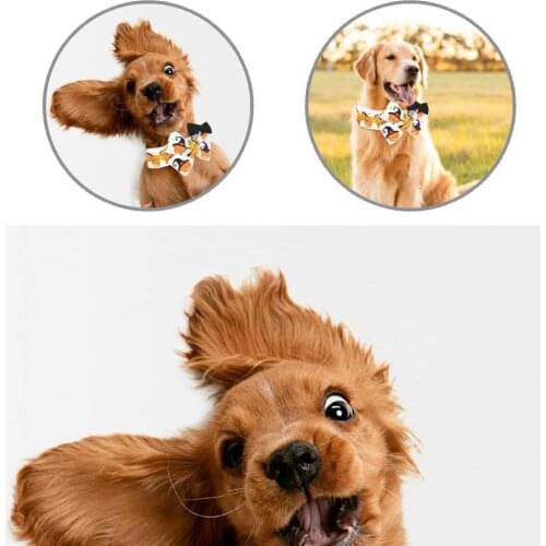 Pet Supplies 1Set Lovely Accessory Pumpkin Print Kitten Collars Breathable for Family