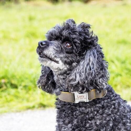 Adjustable Nylon Products Dog Collars Custom Engraved Name ID Tag Personalized Dog Collar Puppy Medium Large Unisex Dogs Collar