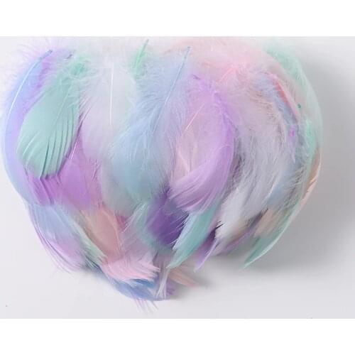 100pcs 4-8CM Small Fluffy Goose Feathers Dyed Colorful Swan Plume for Diy Carnival Party Decoration Craft Accessories