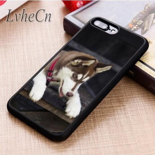 LvheCn BEAUTIFUL BROWN HUSKY PUPPY phone Case For iPhone 5 6 6s 7 8 plus X XR XS max 11 12 Pro Samsung Galaxy S7edge S8 S9 S10