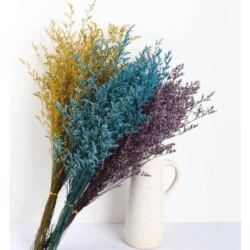 INS Popular Preserved Valentines Grass Limonium Dried Flower Lovergrass For Florist Accessories Home Deco Wedding Decoration