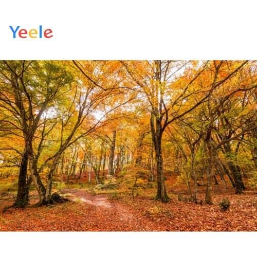 Yeele Autumn Forest Scenery Leaves Road Painting Wall Decoration Photographic Backgrounds Photography Backdrops For Photo Studio