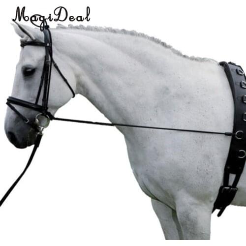 MagiDeal Black Horse Neck Stretcher Horse Training Grooming Tool Equestrian Supplies 3 Meters Long