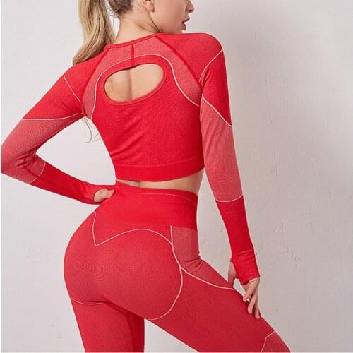 ASHEYWR Women Yoga Suits Seamless 2 PCS Sets LongSleeve Sport Training Running Suits Breathable Fitness Gym Outdoor Female Suits