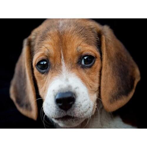 Animal Dog DIY Cross Stitch Embroidery 11CT Kits Needlework Craft Set Printed Canvas Home Decoration New Design Dropshipping