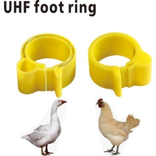 860~960MHZ UHF Rfid Animal Foot Ring Chicken Duck Goose Foot Poultry Electronic Tag Breeding Traceability Tracking Management