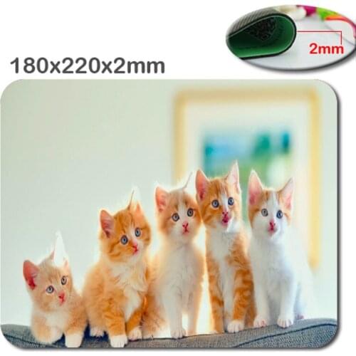 Mairuige New Product on The Shelves Mouse Pad Printed Animal Cute Kitten Design High Quality Durable Laptop Gaming Mouse Pad