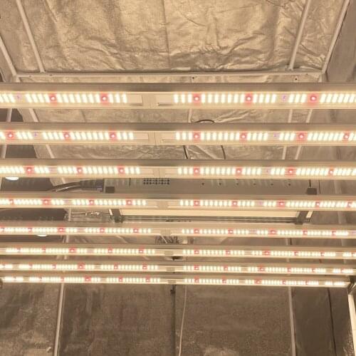 Geekbeast plus LM301H LM301B hydroponic led grow light geeklight Daisy