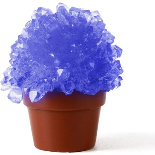 Q6PD 1Set DIY Educational Growing Crystal for Activity Centers Scientific Cognitive Montessori Teaching Aid for Toddler 8