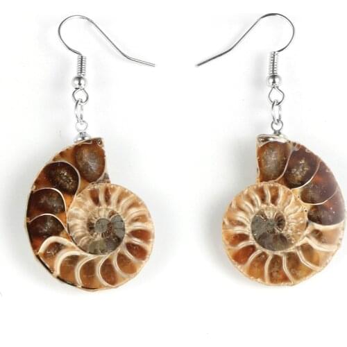Women Natural Stone Ammonite Fossils Ocean Reliquiae Dengled Earrings Seashell Conch Snail Animal Hanging Earring Jewelry Gifts