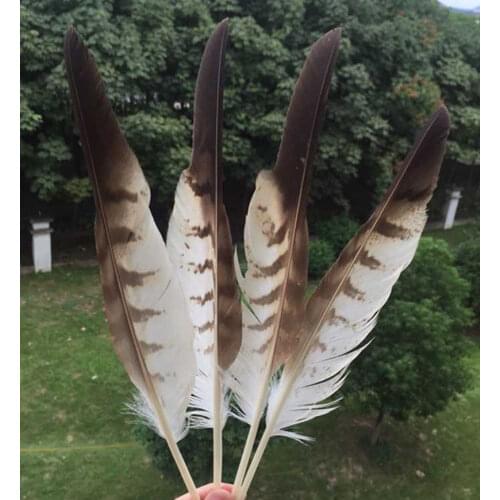 Free shipping beautiful 50pcs 20-35cm Long rare pheasant feathers DIY Pheasant Eagle feathers