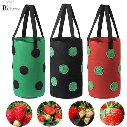 RUPUTIN Seedling Pots