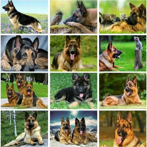 Dog Diamond Painting 5D Animal Full Drill Square/Round Diamond Art Embroidery Cross Stitch Home Decoration